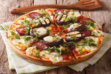 Delicious pizza with grilled eggplant, sausage, herbs and cheese close-up. horizontal
