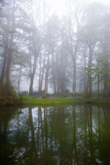 Fototapeta na wymiar Cold foggy day at lake in Alishan National Park
