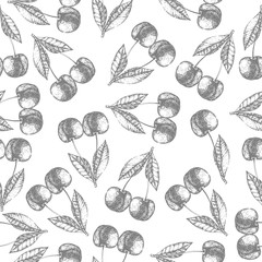 Seamless cherry pattern. Fresh fruit skech backgound