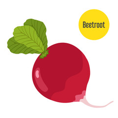 Vector beetroot isolated on white background with yellow label.