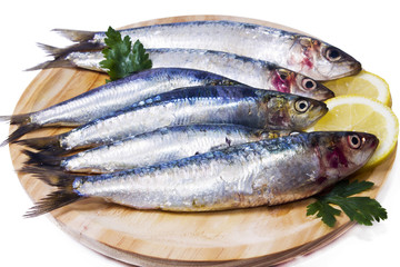 dish of sardines with parsley and lemon isolated