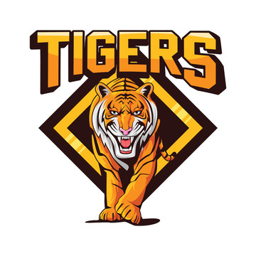 Tigers Banner Emblem Illustration Design