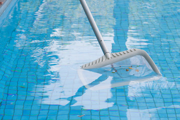 Cleaning swimming pool of fall leaves with white skimmer before