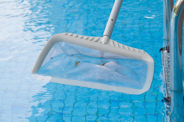 Cleaning swimming pool of fall leaves with white skimmer before