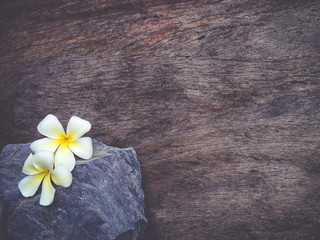 wood textured background with stone and flower.