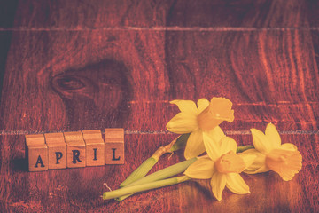 Daffodils in april on wooden table