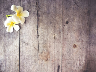 wood textured background with flower.
