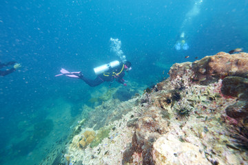 Naklejka na ściany i meble Divers and coral reef