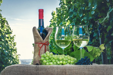 Bottle of wine with filled glasses and grapes on the background