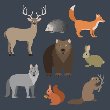 Forest animals vector illustration.