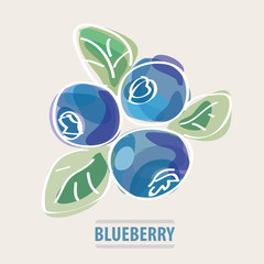 Blueberry vector illustration.