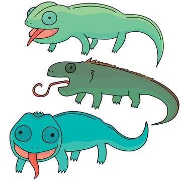 vector set of chameleon