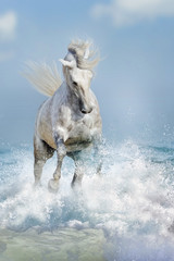 Panele Szklane Podświetlane  Biały koń biegnie po falach oceanu