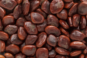Organic Tamarind (Tamarindus indica) seeds. Macro close up background texture. Top view.