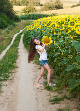 girl on the field of sunflowers