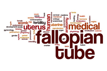 Fallopian tube word cloud