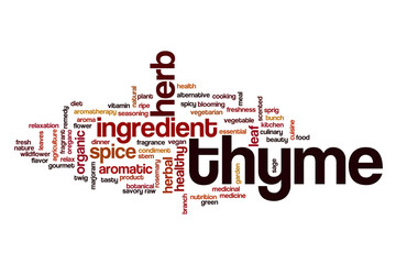 Thyme word cloud