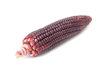 purple corn