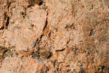 Granite. Colorful granite design. Stone Background of mottled gr