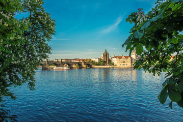 Fototapeta premium the Charles Bridge