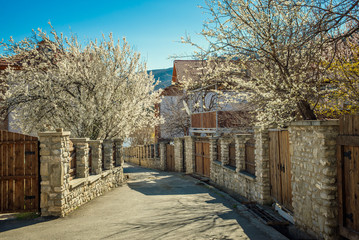 beautiful street in Mtskheta