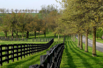 Fence Line and Lane