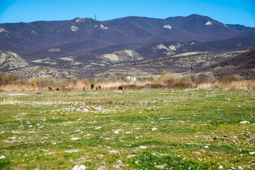 Fototapeta na wymiar landscape in Georgia