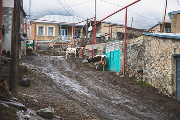 Fototapeta na wymiar Stepantsminda village in the mountains
