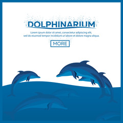 Dolphinarium. Dolphin show. Banner. Vector flat illustration.
