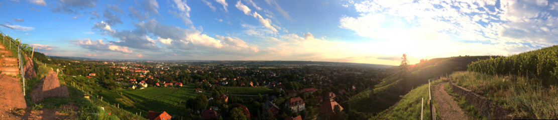 Weinberg, Panorama
