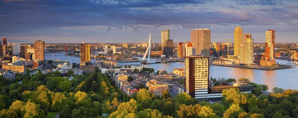 Foto op Plexiglas Rotterdam Rotterdams Panorama. Panoramisch beeld van Rotterdam, Nederland tijdens de zomerzonsondergang.