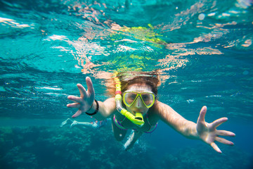 snorkeling in the Red Sea  - obrazy, fototapety, plakaty