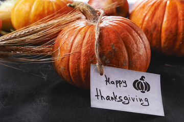 pumpkin and thanksgiving card