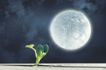 Is there life on moon