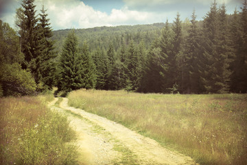 colorful spring landscape
