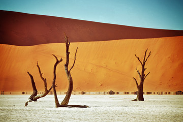 Deadvlei, Sossusvlei. Namibia, Africa. Filtered image, instagram like filter applied