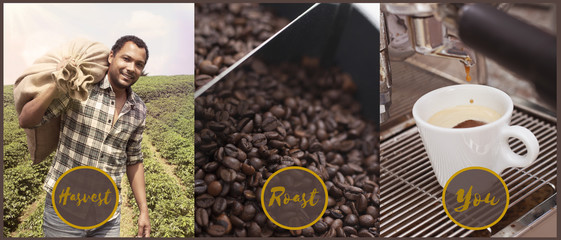 Brazilian Coffee Process