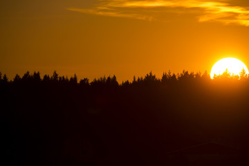 The sundown. The sun is going down behind the thick forest. The forest is a silhouette and some...
