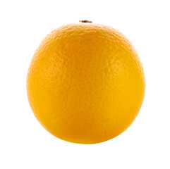 Sweet orange  on white background
