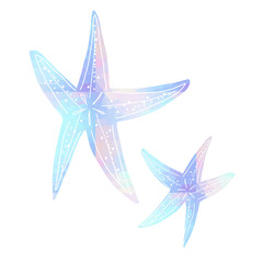 ヒトデ / おしゃれな手描きイラスト