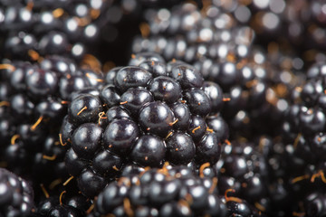 Ripe fresh blackberries close up. Rubus fruticosus