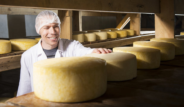 Cheese Production At Factory