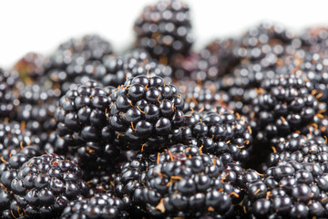 Ripe fresh blackberries close up. Rubus fruticosus