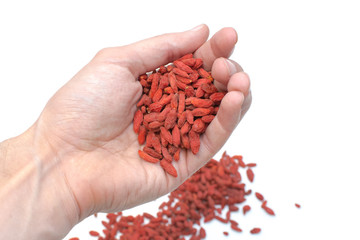 A Hand Full With Goji Berries