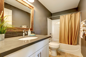Interior of bathroom . Grey walls with white bathroom appliances