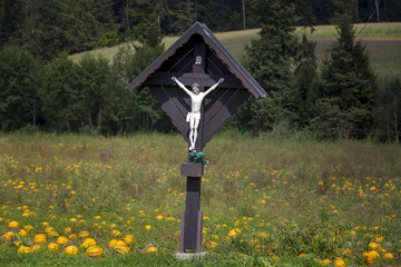 Kürbisse in der Steiermark,Österreich