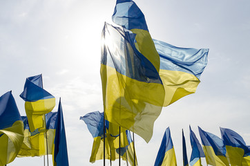 Ukrainian flag - Ukraine's Independence Day 