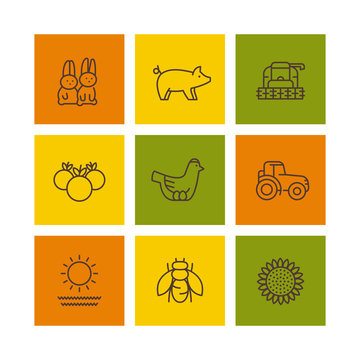 Farm, ranch line icons, rural machinery, agrimotor, hen, pig, rabbits, vegetables, vector illustration