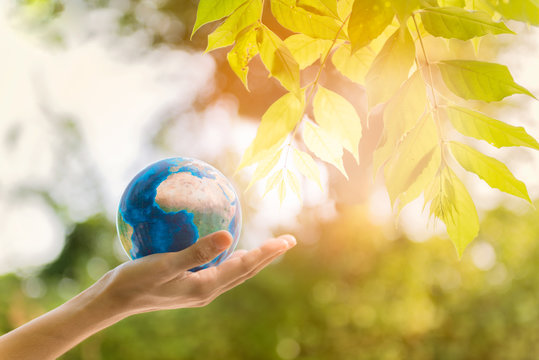Holding earth planet in the hand with tree and against green spring background. Corporate Social Responsibility or CSR concept. Elements of this image furnished by NASA