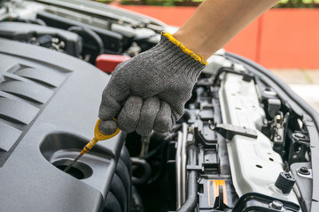 check the oil level in car engine © Noey smiley